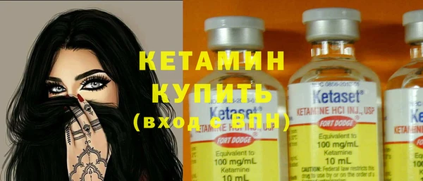 соль ск Новозыбков