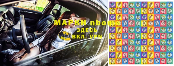 соль ск Новозыбков
