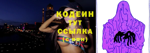 соль ск Новозыбков