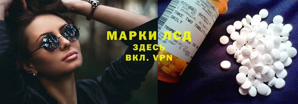 соль ск Новозыбков