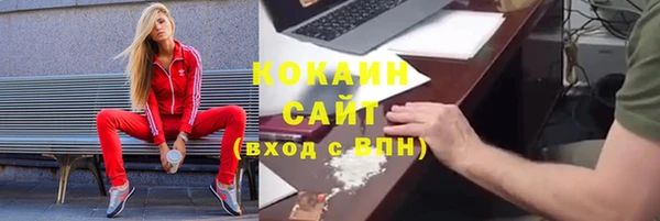 соль ск Новозыбков