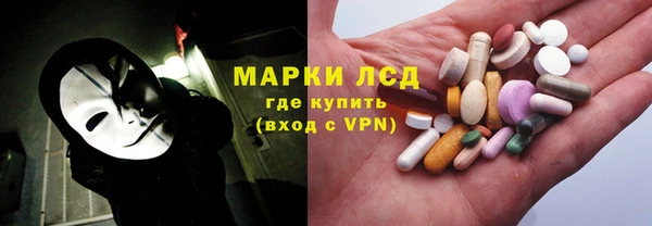 соль ск Новозыбков