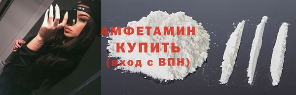соль ск Новозыбков
