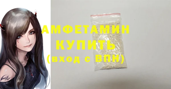 соль ск Новозыбков