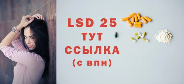 соль ск Новозыбков