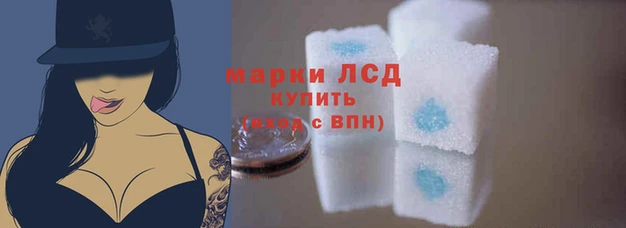 скорость mdpv Новодвинск