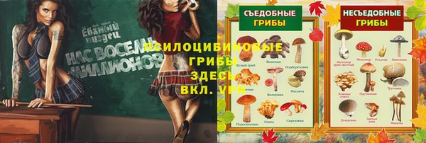 соль ск Новозыбков